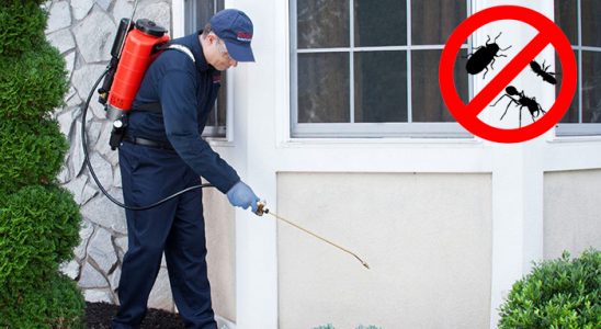Alacakaya Kene İlaçlama böcek ilaçlama ve haşere kontrolü — ilaclama-tr.com